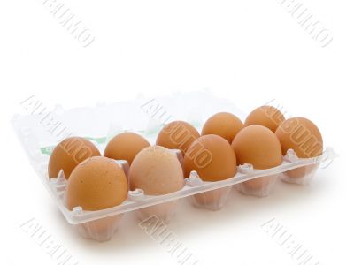 eggs