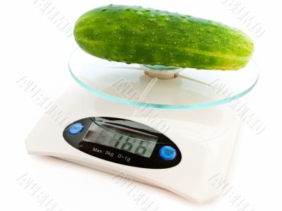 cucumber at scales