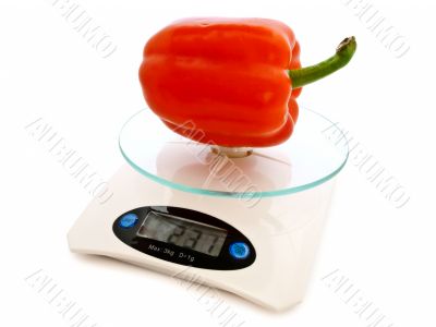 paprika at scales