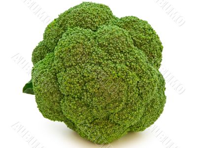 broccoli