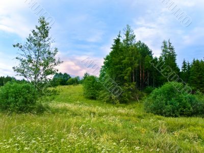 country landscape