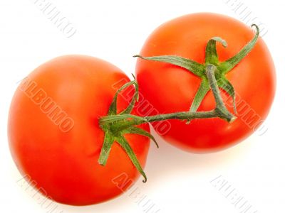 tomatoes