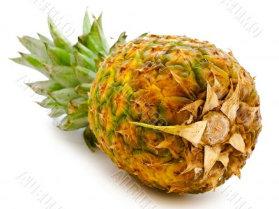 pineapple