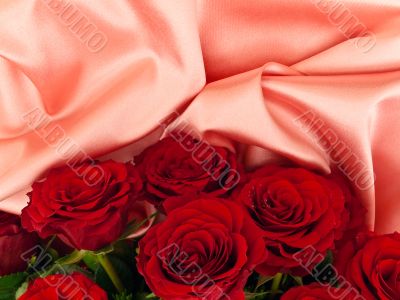 Red  roses on pink fabric