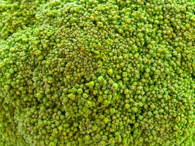 broccoli  background