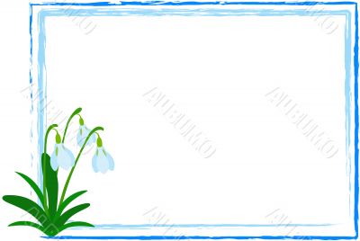 Snowdrop in Frame