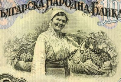 Woman Harvesting Grapes