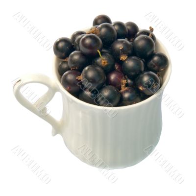 Black currant in a cup