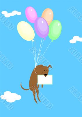 Balloons dog