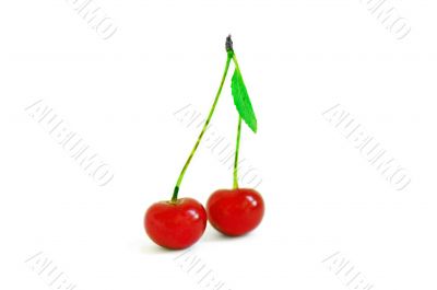 Cherries with green leaf