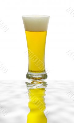 Beer glass isolated against white background
