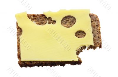 Some bread & cheese on the white background