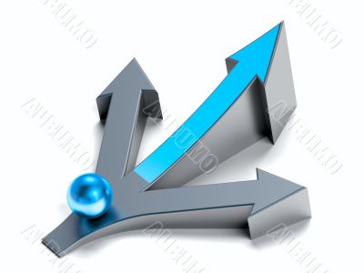 Business conception. Choice of an optimum way.