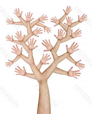 Hands tree