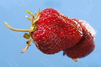  strawberries