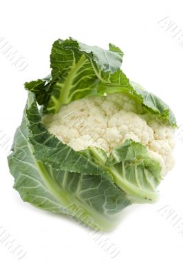 cauliflower