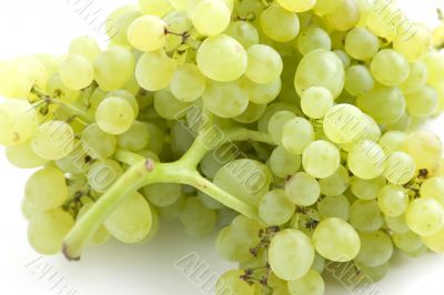 grapes on white closeup