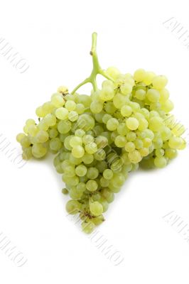 grapes