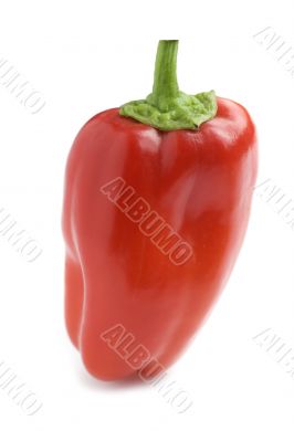 pepper close up