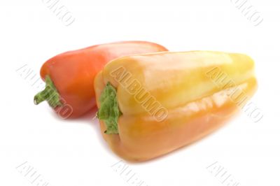 pepper on white