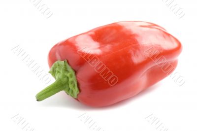 pepper