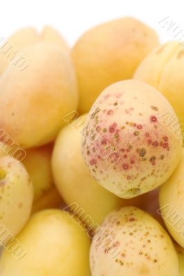 apricot macro