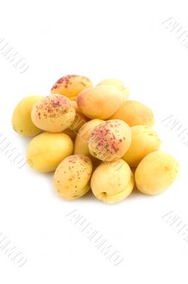apricot on white