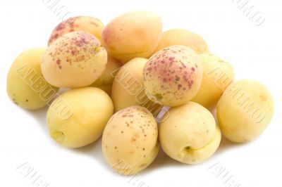 apricot