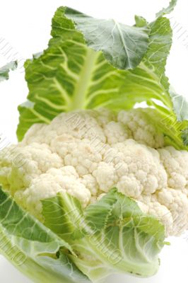 cauliflower closeup