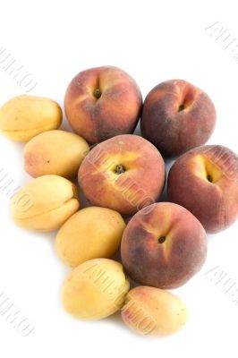 peach and apricot
