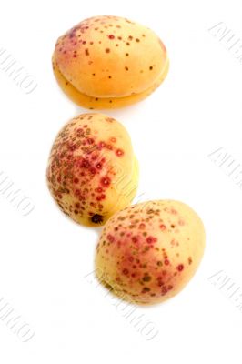 apricot on white background