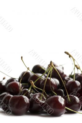 cherries close up