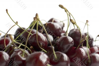 cherries closeup
