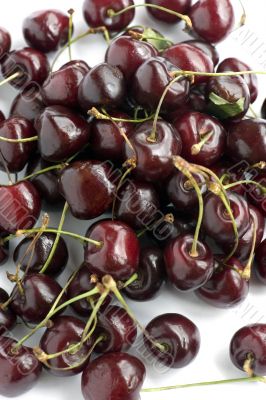 cherries on white background