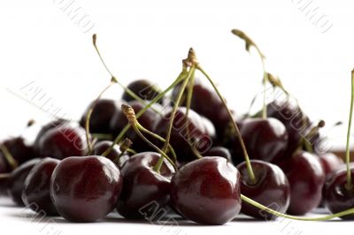 cherries on white