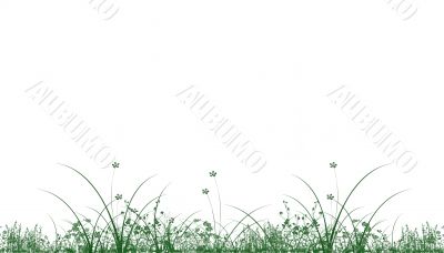 Green grass