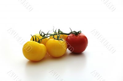 Yellow tomatos and red tomato