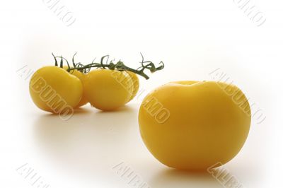 Yellow tomatos and yellow tomato