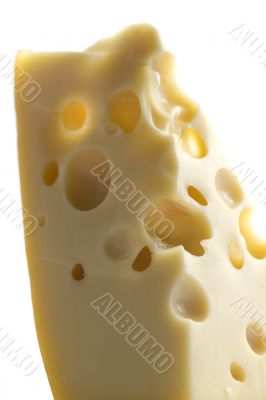 cheese closeup
