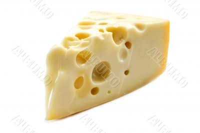 cheese on white background