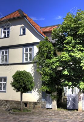 baroque house and chestnut tree