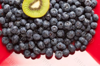 Macro Kiwi and Blueberries on Red Dish