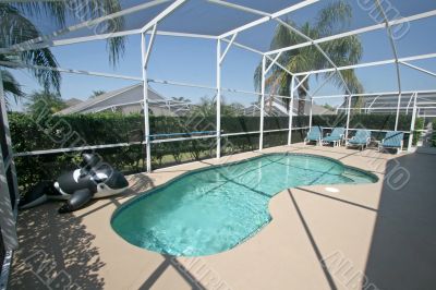 Swimming Pool with Whale