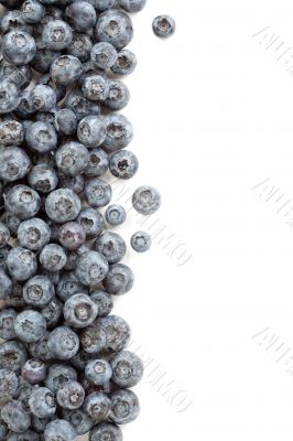 Fresh Blueberries Border