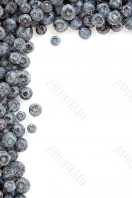 Fresh Blueberries Border