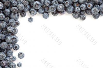 Fresh Blueberries Border