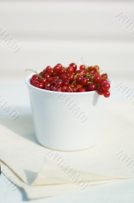 red currents