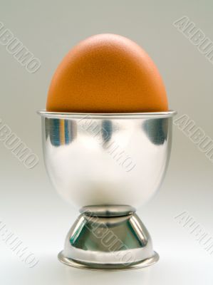 Chicken egg in stand