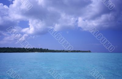 Saona island lagoon -Dominican republic