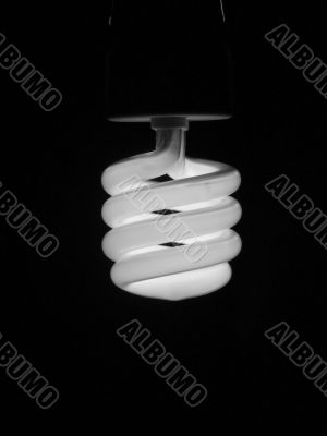 Fluorescent energy saving light bulb
